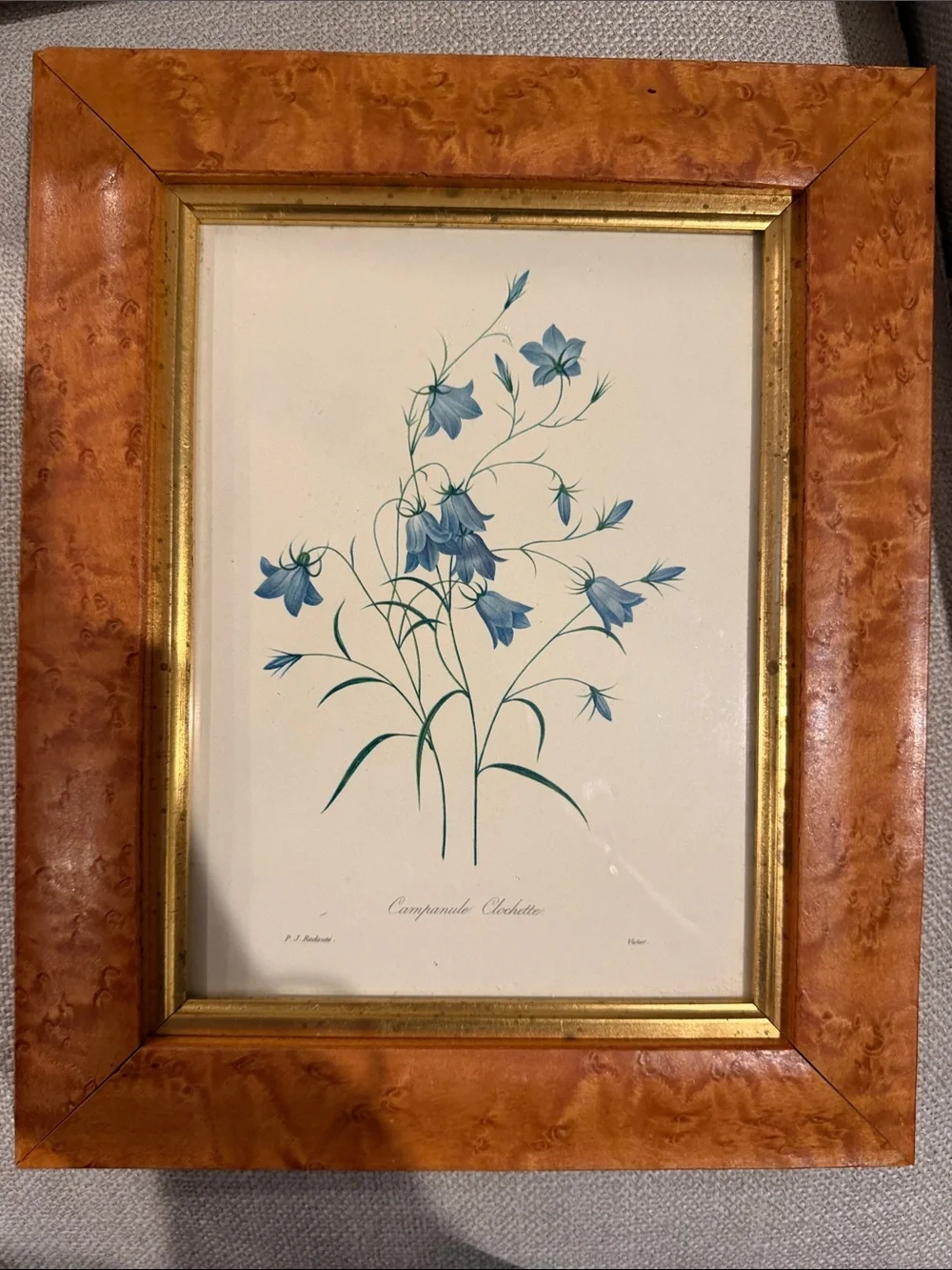 Framed Blue Botanical Print - Blue Floral Wall Art made in England